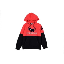 Sudaderas Ferrioni