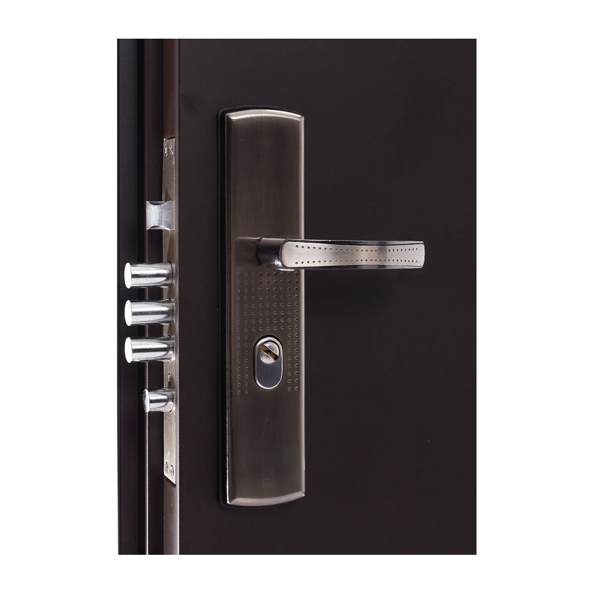 Cerradura de puerta con bisagras con ojo de cerradura y cerrojo en la puerta  exterior