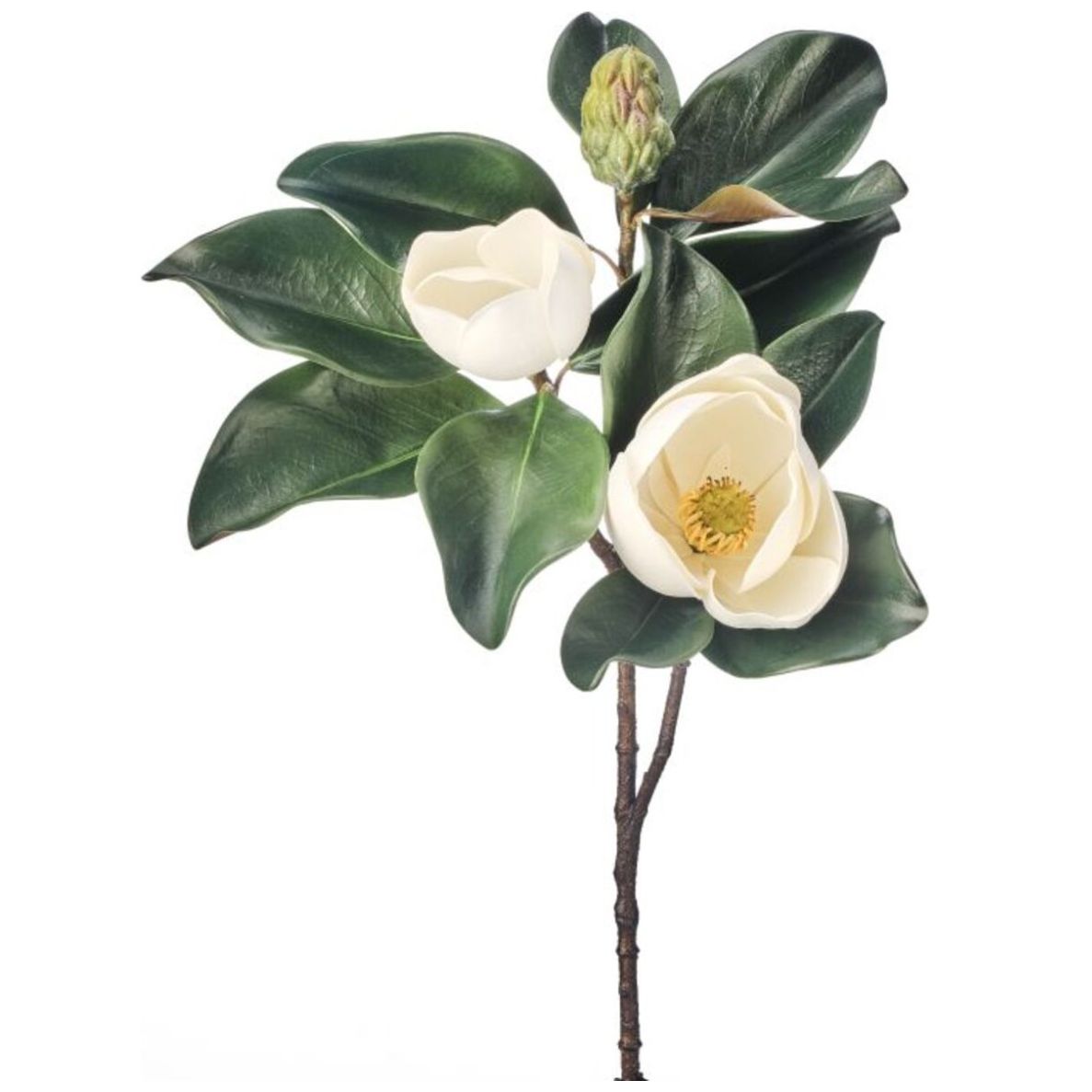 Kit Taller Pintura Sobre Tela - Pinta tu Bolsa - El Taller de Magnolia
