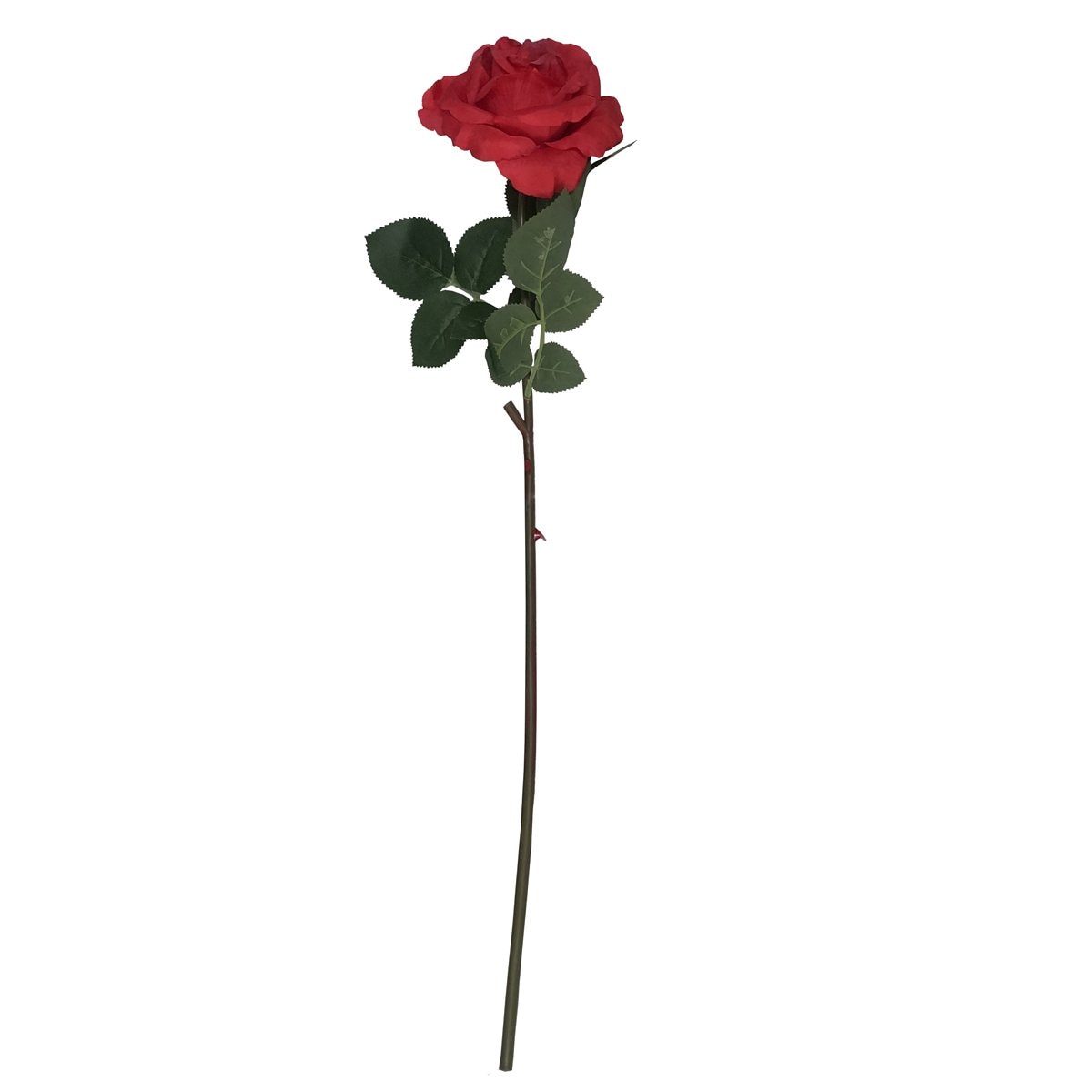 Rosa Roja Sola W15 H62Cm Lotus