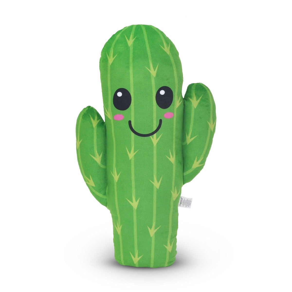 Coj&iacute;n Cactus  Explo Word