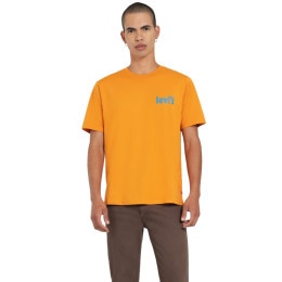 Playeras Levis Hombre