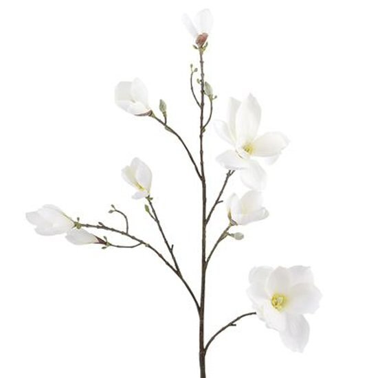 Vara Decorativa Magnolia Blanca Pier 1 Imports
