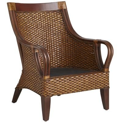 Sillón Temani Brown Pier 1 Imports