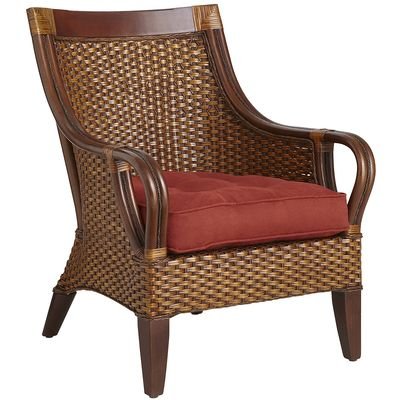 Sillón Temani Brown Pier 1 Imports