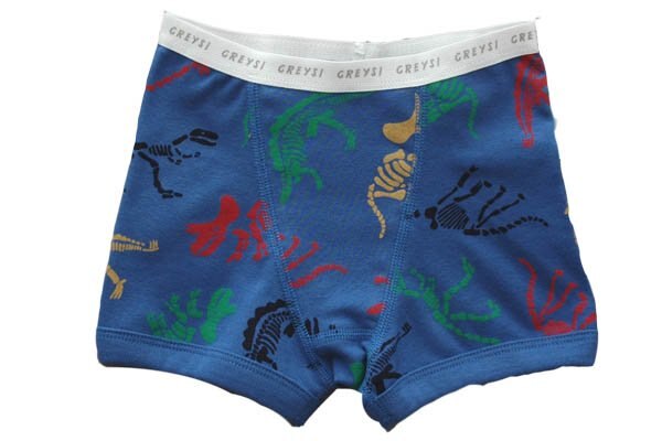 Bóxer Cardigan Belgica 86Ca Azu Baby Creysi para Niños