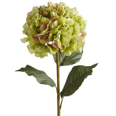Vara Decorativa Hydrangea Stem Green Pier 1 Imports