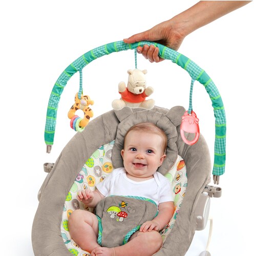 Bouncer Winnie Pooh Bright Starts