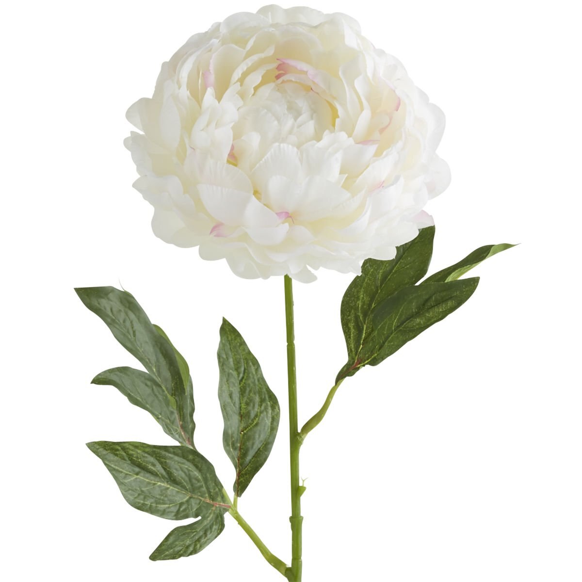 Vara Decorativa Peony White Pier 1 Imports