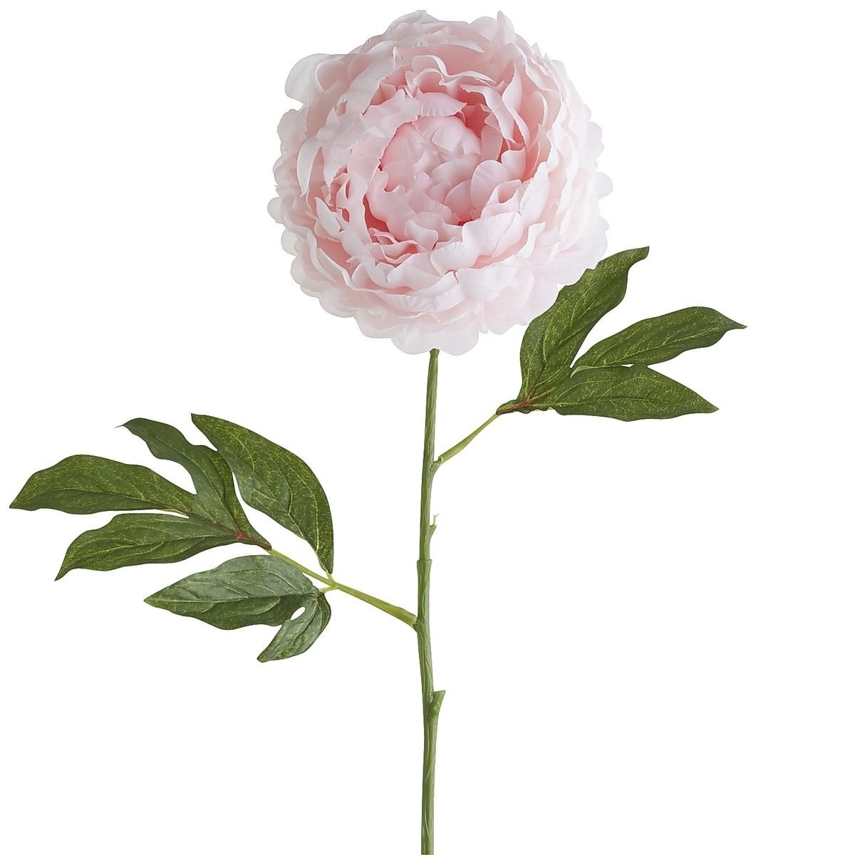 Vara Decorativa Peony Blush Pier 1 Imports