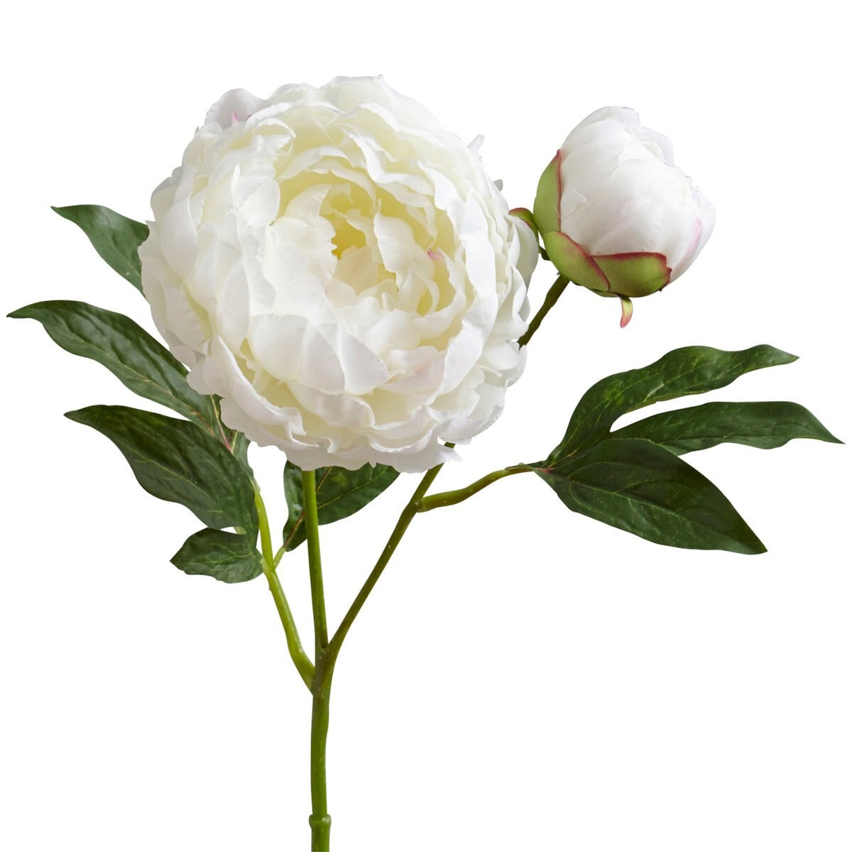 Vara Decorativa Peony Buds White Pier 1 Imports