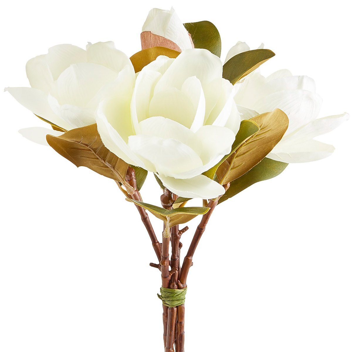 Vara Decorativa Magnolia Bundle Pier 1 Imports
