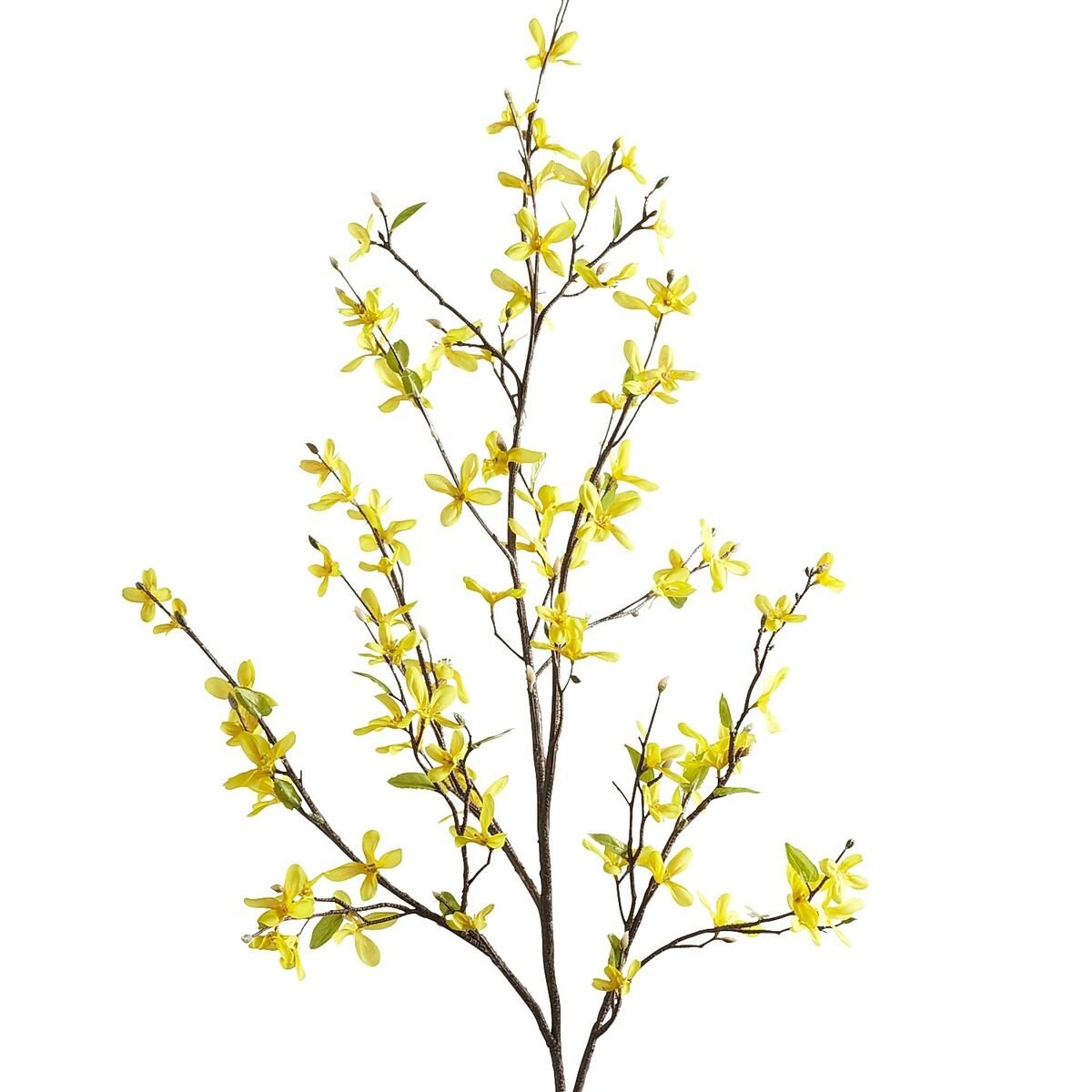 Vara Decorativa Forsythia Yellow Pier 1 Imports