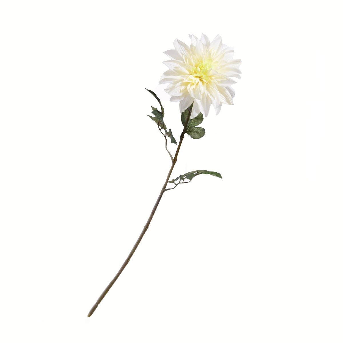 Tallo Dalia Crema