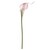 15 Mini Calla Lily Spray Pink Allstate Floral