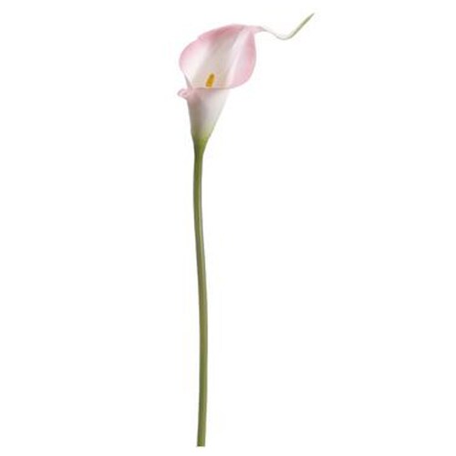 15 Mini Calla Lily Spray Pink Allstate Floral