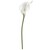 15 Mini Calla Lily Spray White Allstate Floral