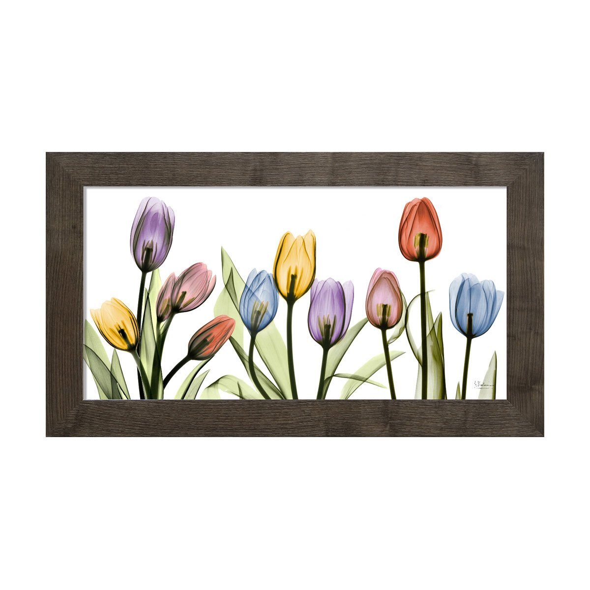 Cuadro Tuliscape Carre 69 X 124 Cm.