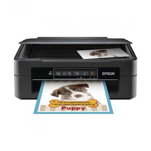 Impresora Epson Expression Xp-241