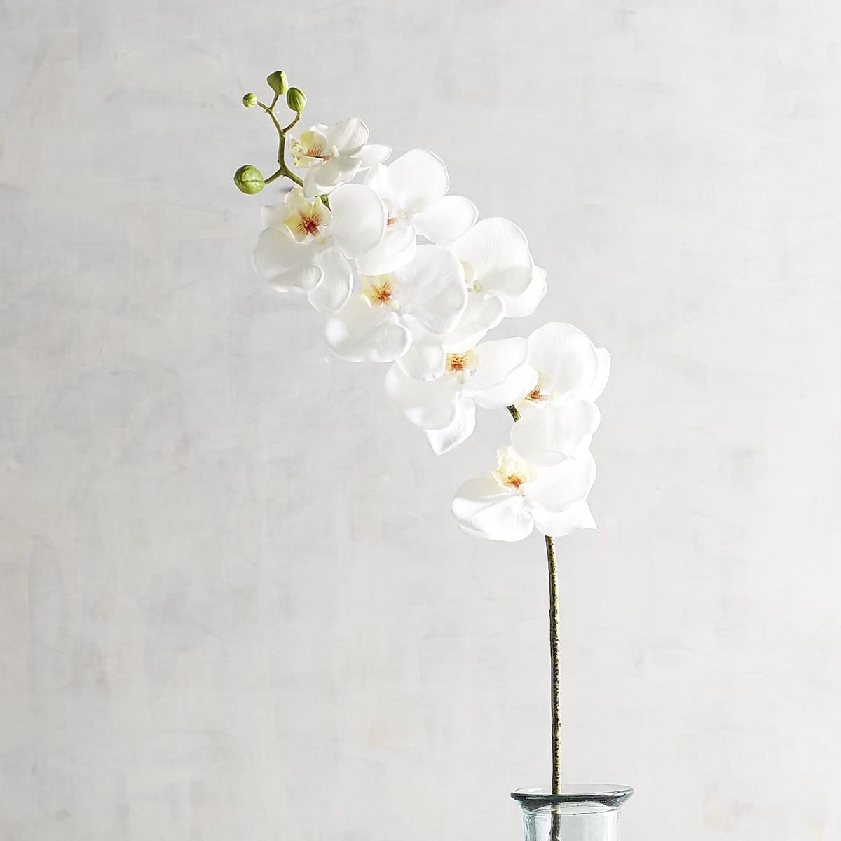 Vara Decorativa Phalaenopsis White Pier 1 Imports