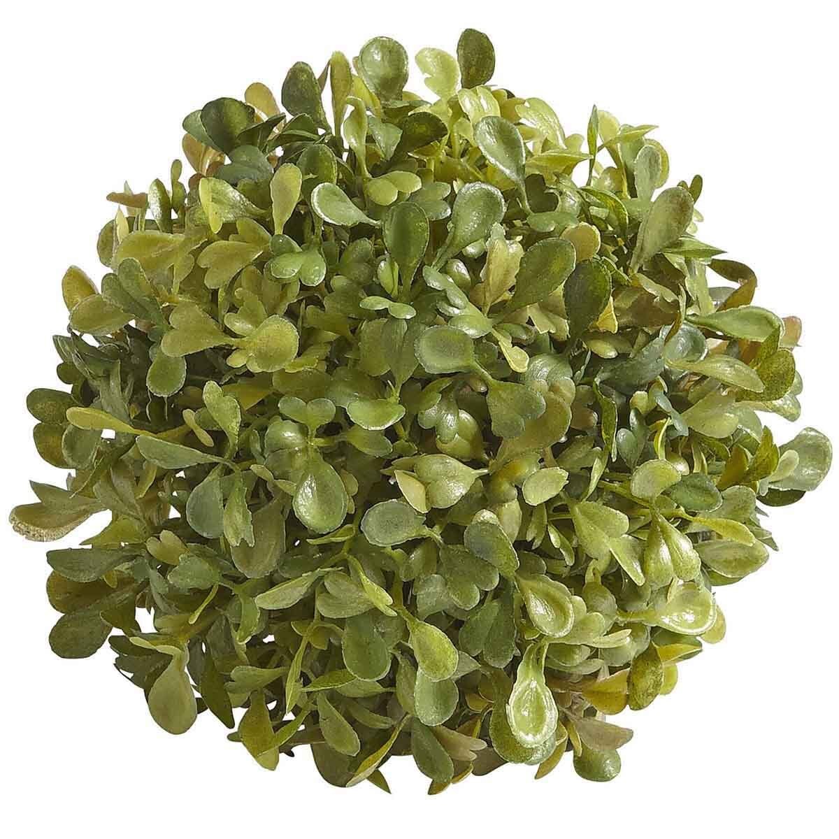 Esfera Boxwood Pier 1 Imports