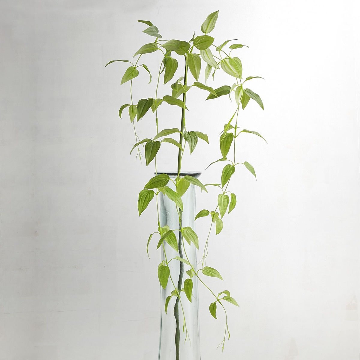 Vara Decorativa Clematic Vineivy Pier 1 Imports