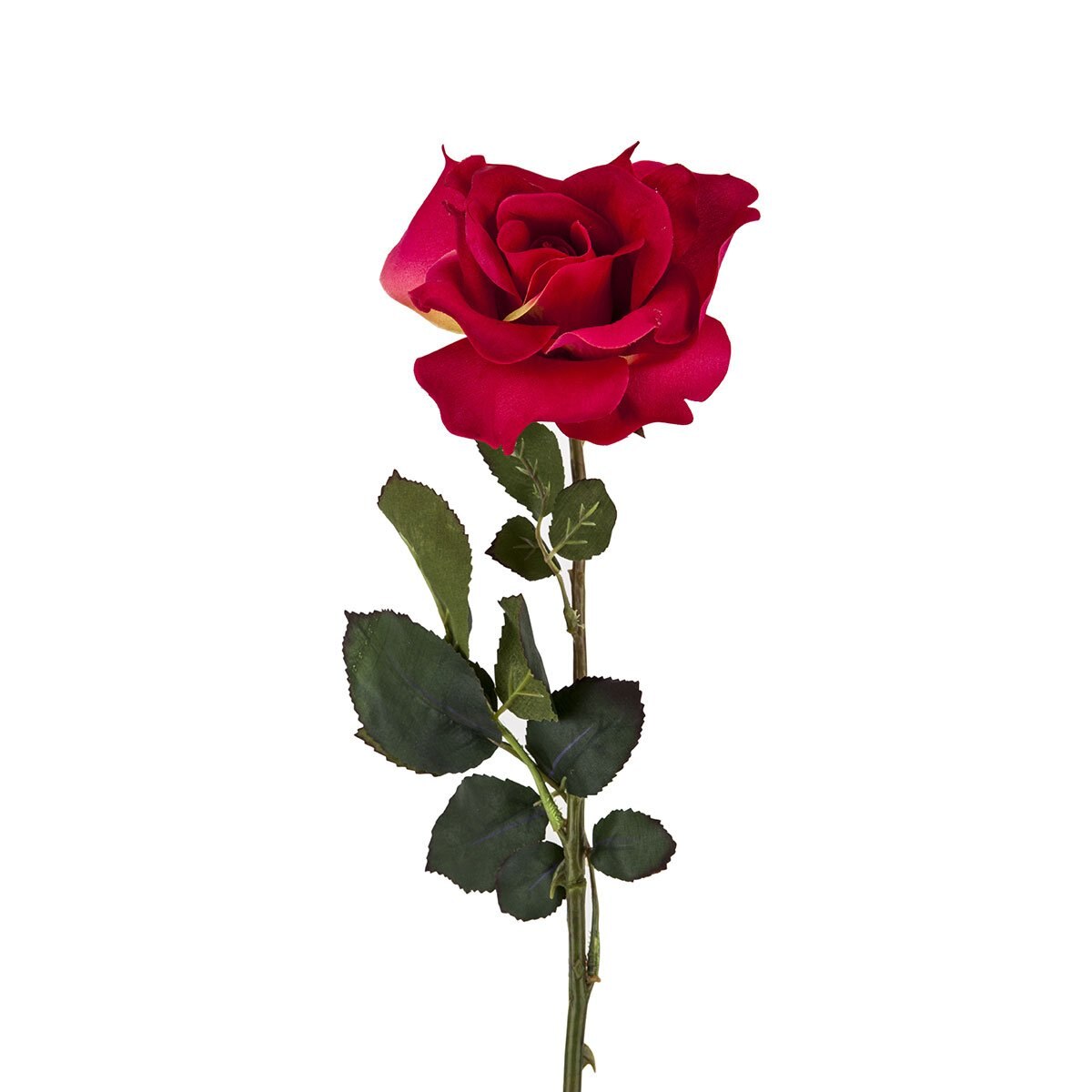 Spray 26 Belleza Americana Rosa Allstate Floral