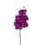Spray 28 Phalaenopsis Orquidia con 5 Flores Y 2 B Allstate Floral