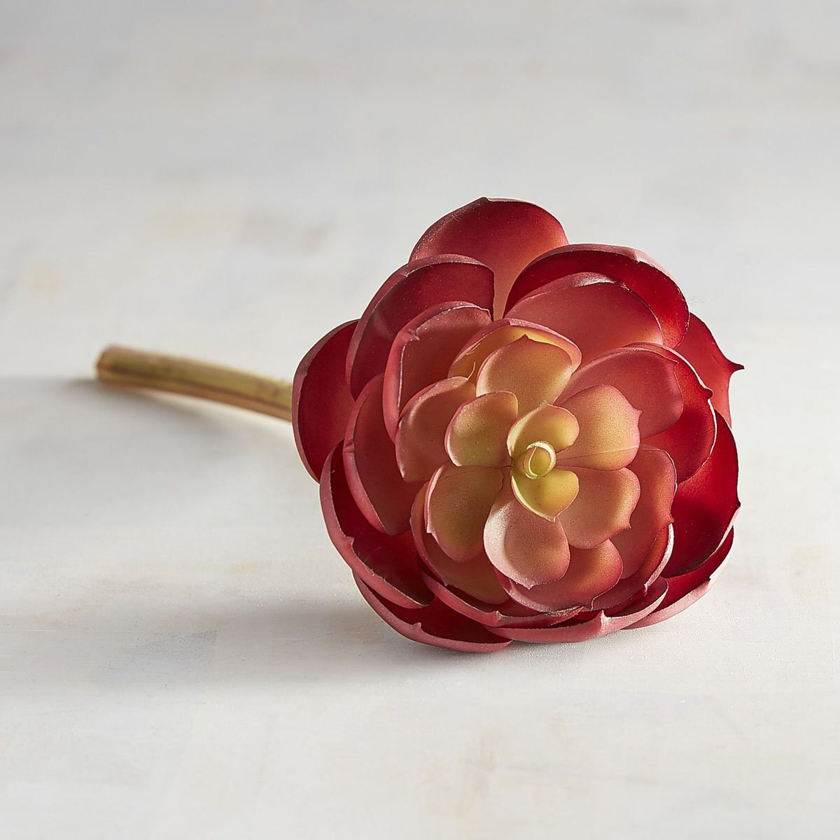 Vara Decorativa Red Desert Rose Pier 1 Imports