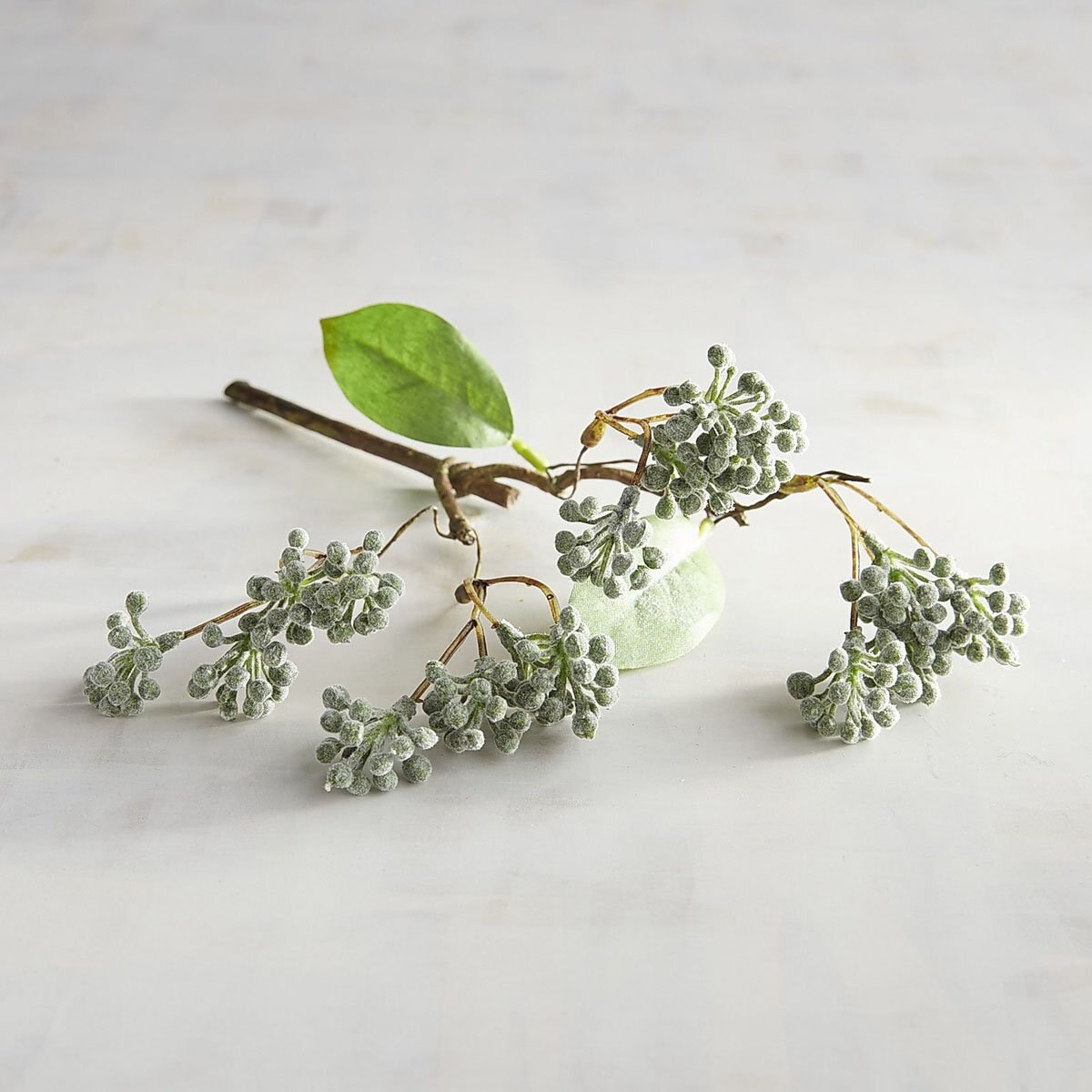 Vara Decorativa Flocked Seeding Berry Succulent Pier 1 Imports