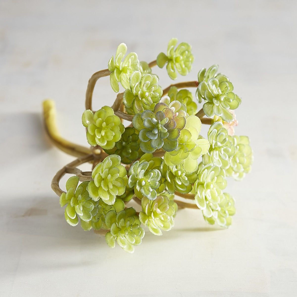 Vara Decorativa Desert Gem Sedum Succulent Pier 1 Imports