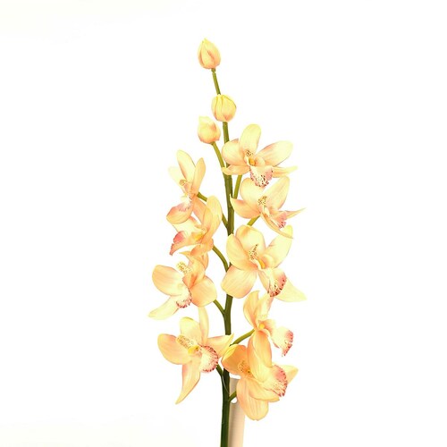 Orquídea Cymbidium Rosa 82 Cm Largo Latincraft