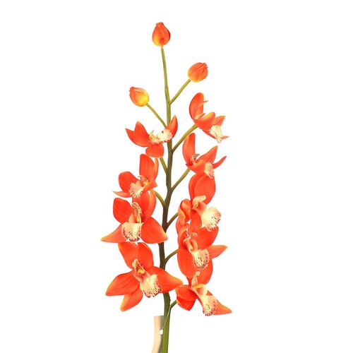 Orquídea Cymbidium Rojo 82 Cm Largo Latincraft