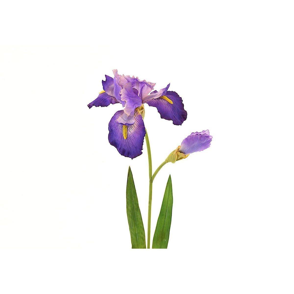 Iris Morado 67 Cm Largo Latincraft