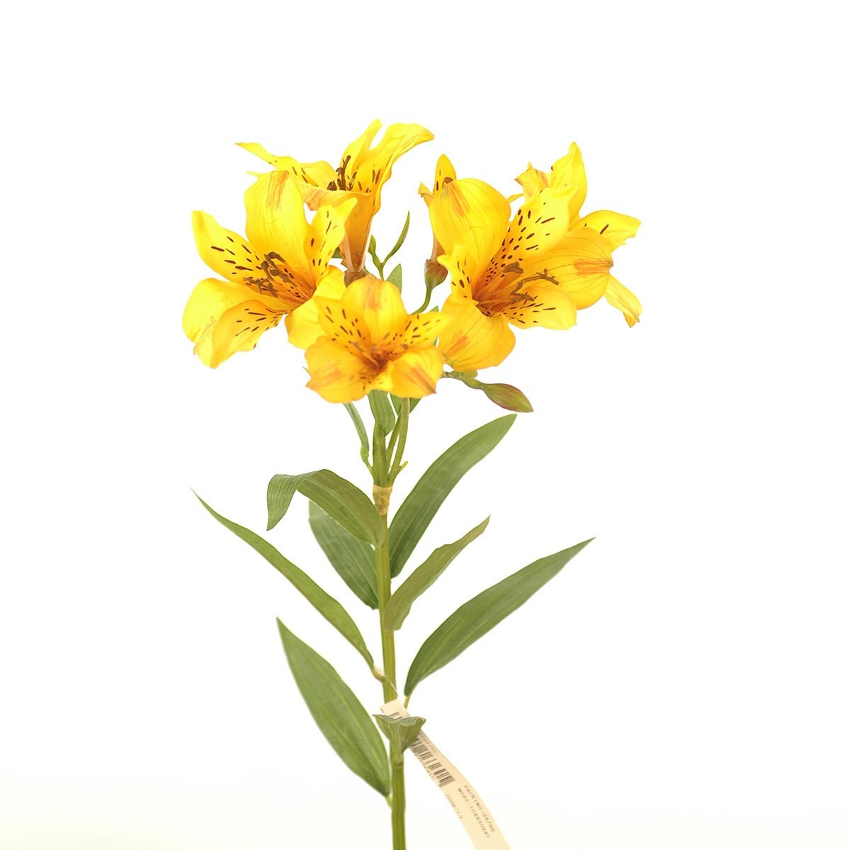 Lily Amarillo 73 Cm Largo Latincraft