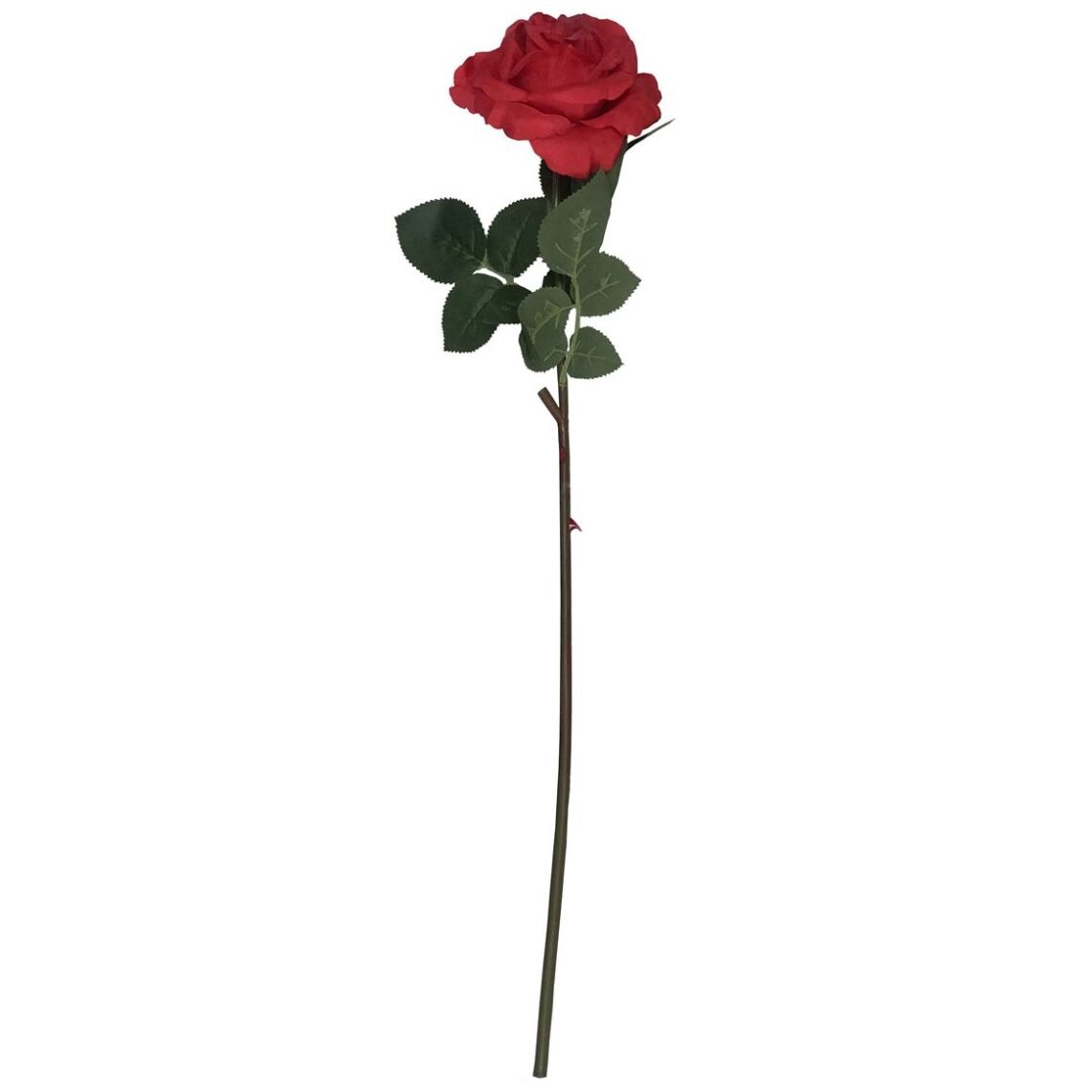 Rosa Roja Sola W15 H62Cm Lotus