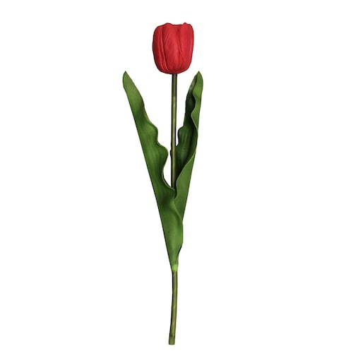 Tulipán Sencilla Roja W 21.5 H 41Cm Lotus