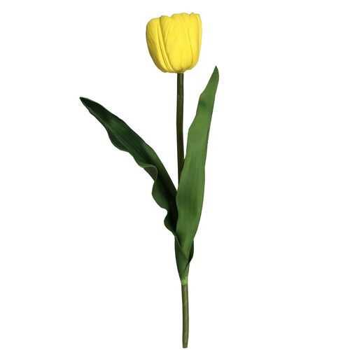 Tulip&aacute;n Sencilla Amarillo W 21.5 H 41Cm Lotus