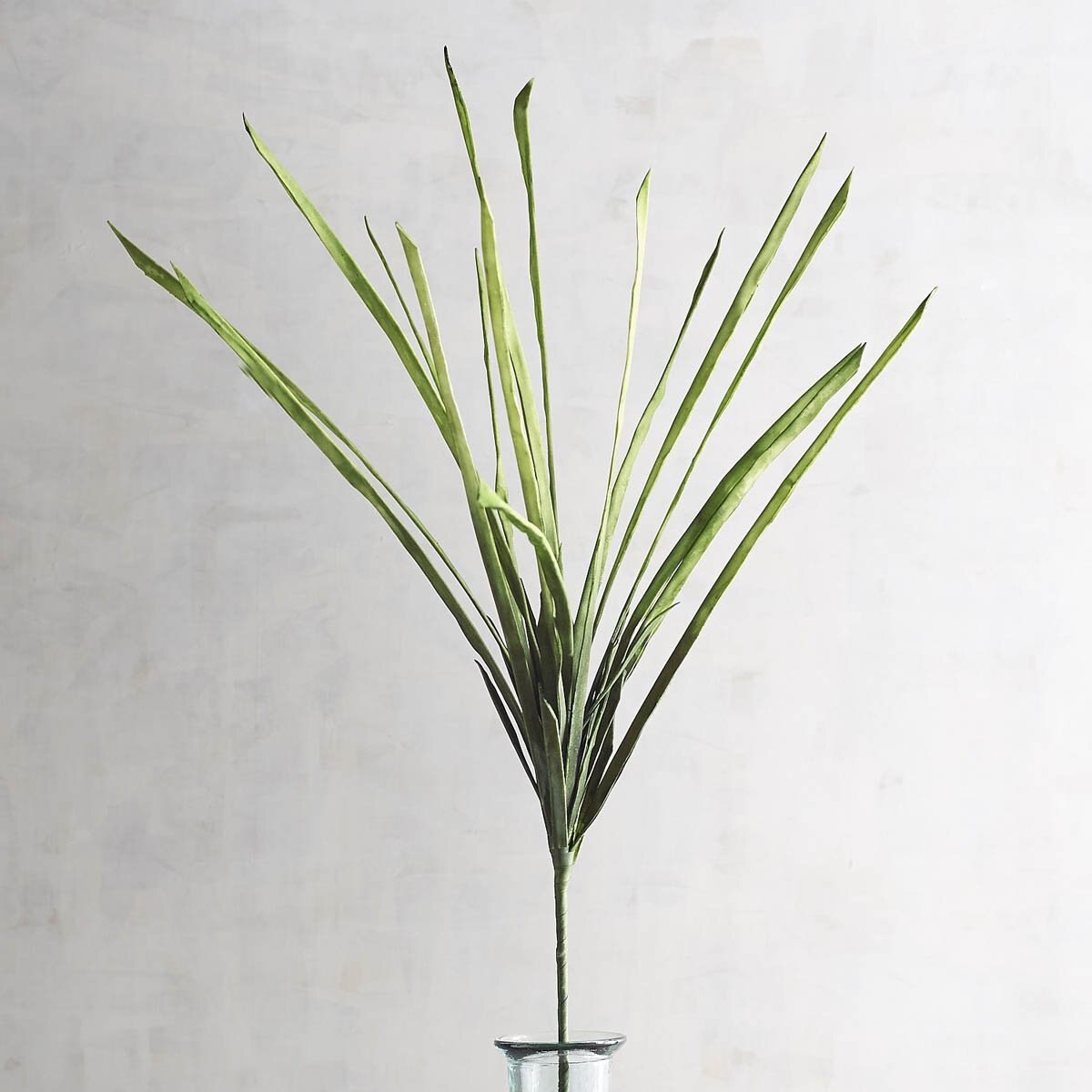 Vara Decorativa Wide Follage Eva Pier 1 Imports