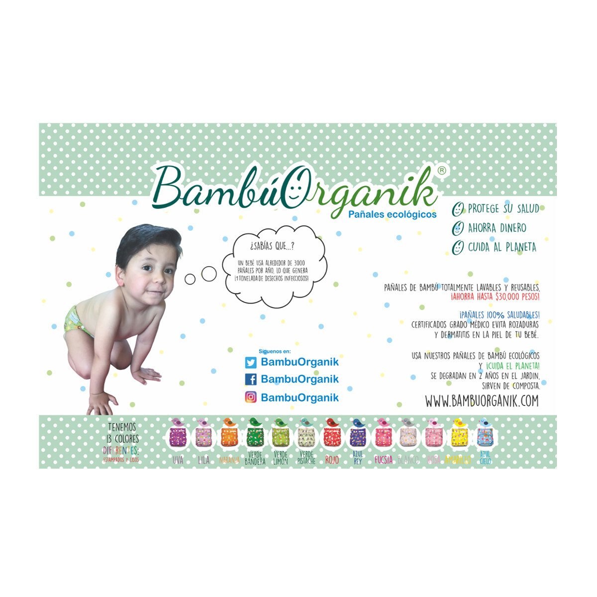 Caja de Paquete Básico Pañal de Bambú Bambúorganik