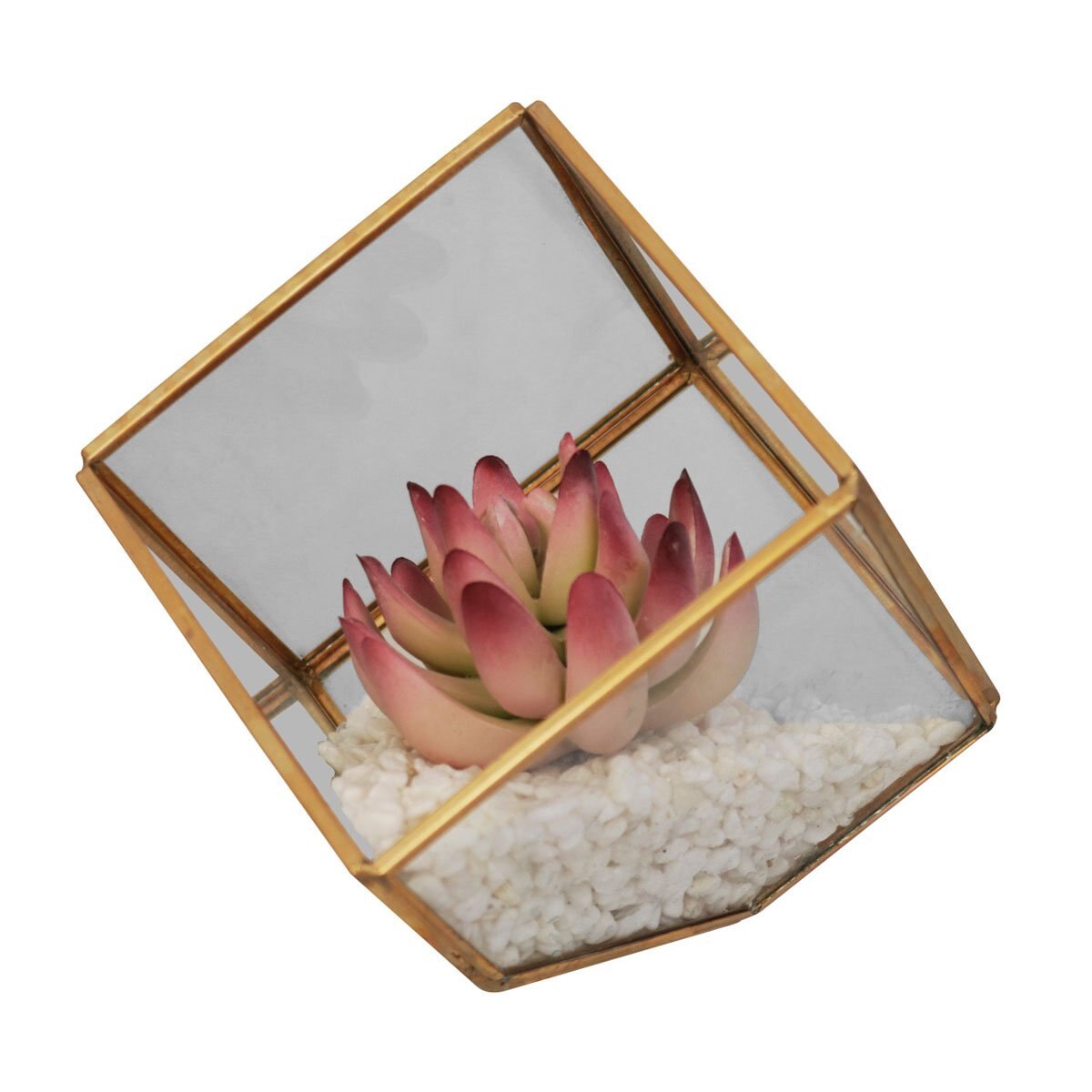 Terrario Hexagonal Chica Home Nature