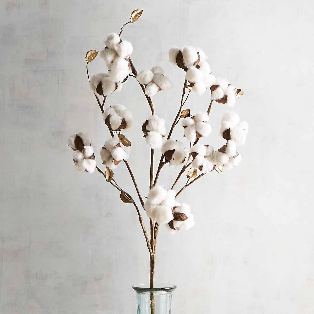 Vara Decorativa Algodón Pier 1 Imports