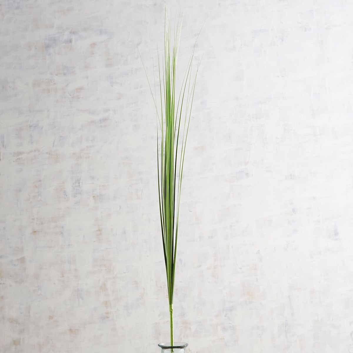 Vara Decorativa Espiga Cebollin Pier 1 Imports