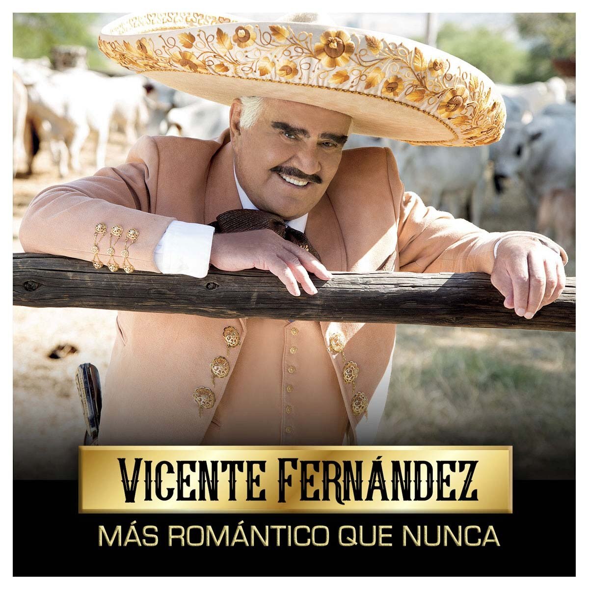 Cd + Dvd Más Romántico Que Nunca Vicente Fernandez