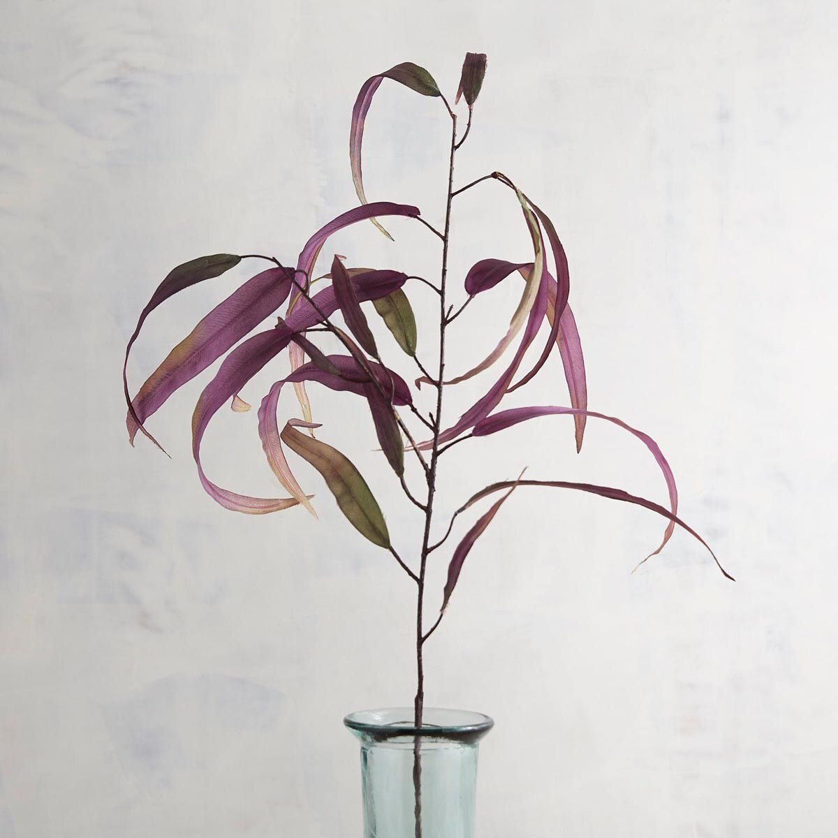 Vara Decorativa Hoja de Eucalipto Pier 1 Imports