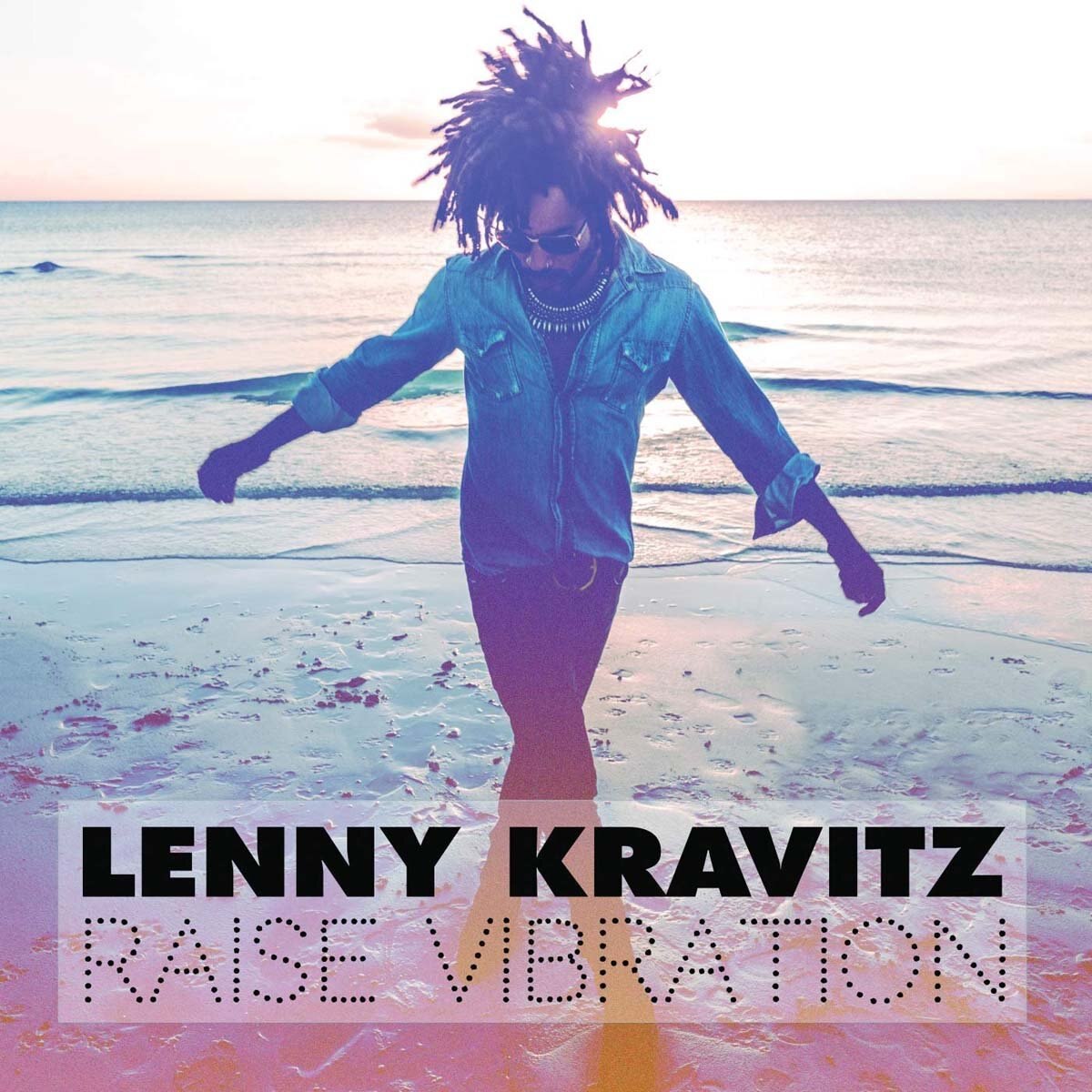 Cd Lenny Kravitz Raise Vibration