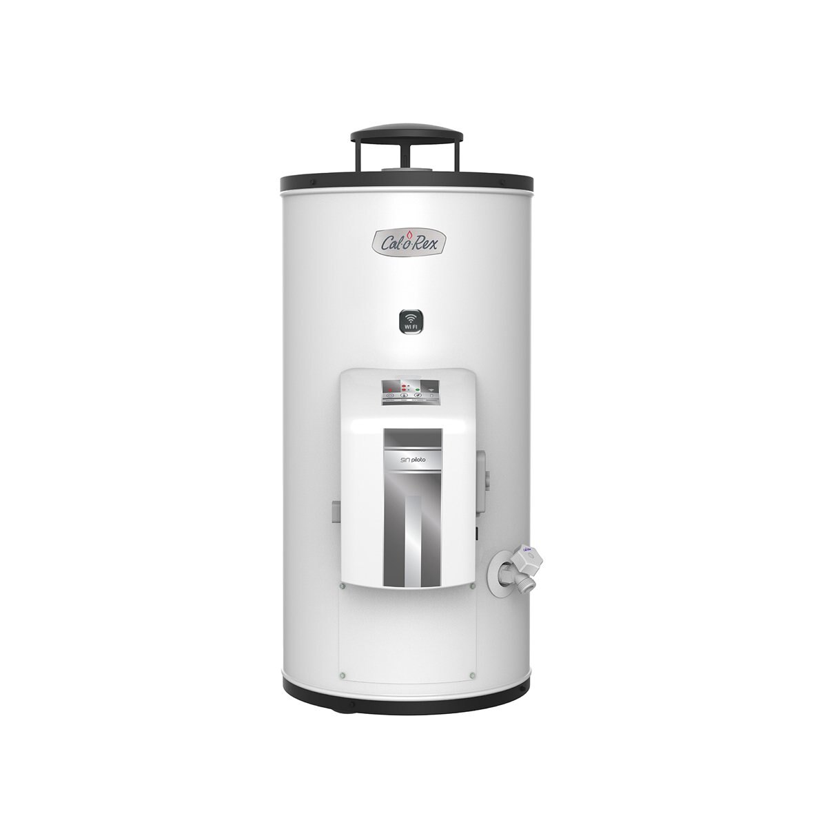 Calentador Calorex G-10 Sin Piloto Wi-Fi Gas L.p.
