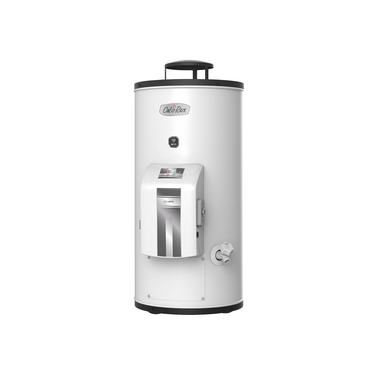 Calentador Calorex G-10 Sin Piloto Wi-Fi Gas Natural