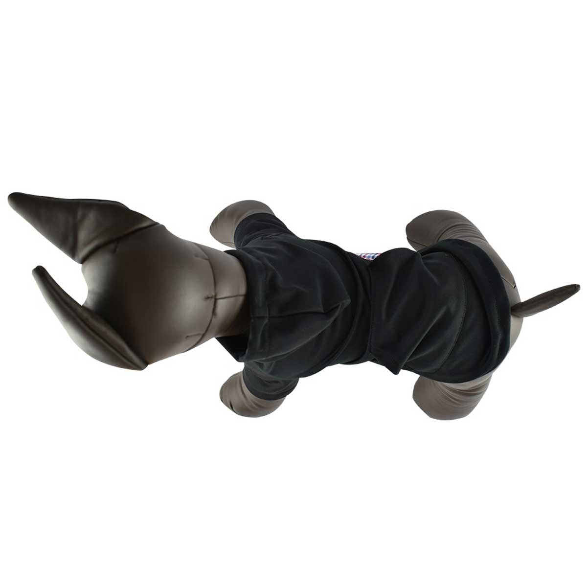 Sudadera Rocko Ch Acuario Lomas