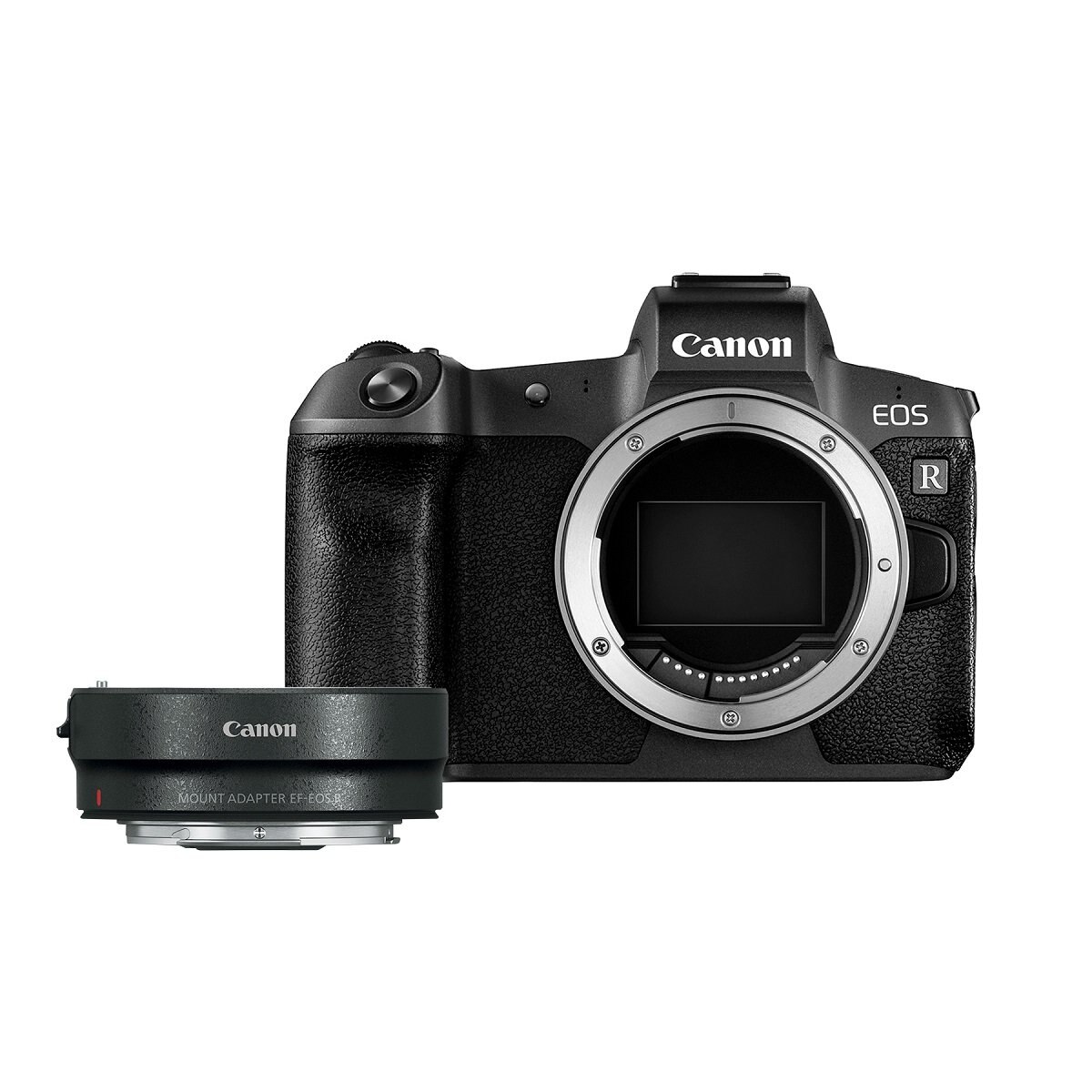 Cámara Canon Eos R